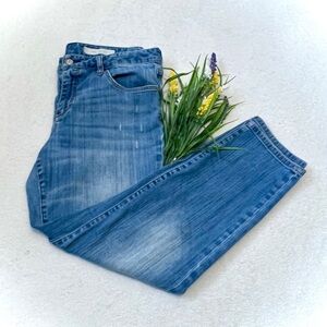 Pilcro & The Letterpress Stet Straight Leg Jeans - Size 32